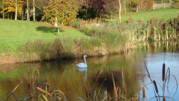 park-grange-03
