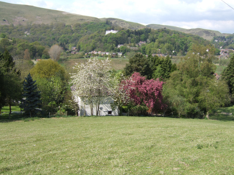 Ferndale-07-May-2110-009 Ferndale-07-May-2110-009