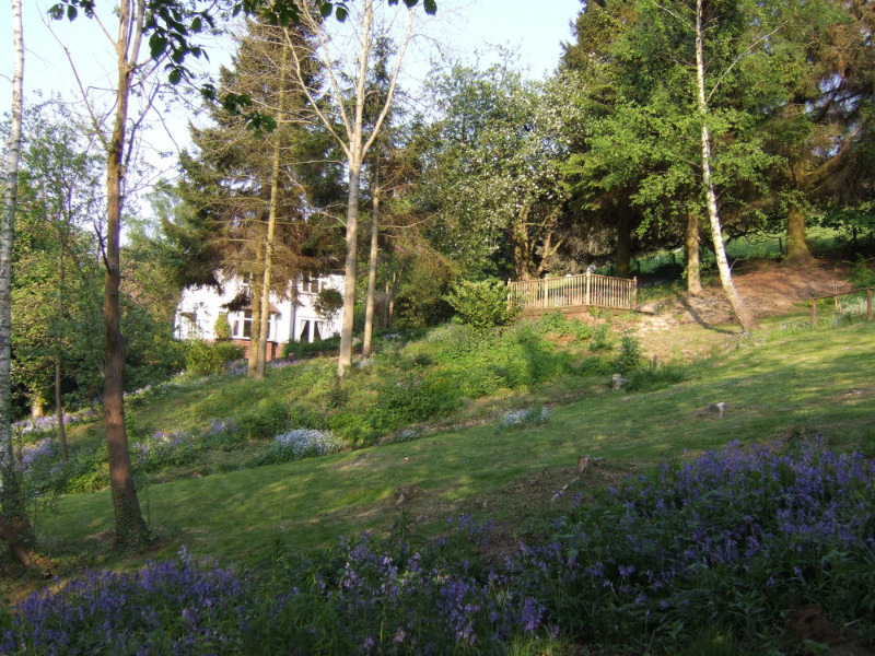 Ferndale-1.5.11 Ferndale-1.5.11