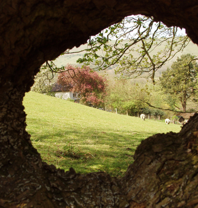 Ferndale-thro-hole Ferndale-thro-hole