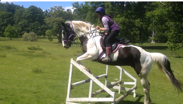 web-trixi-front-cover