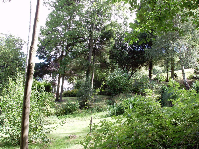 Ferndale-7-aug-16-026 Ferndale-7-aug-16-026