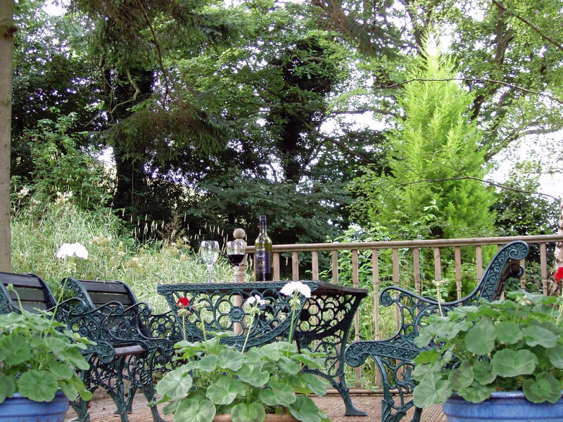 Ferndale-aug-16-013 Ferndale-aug-16-013