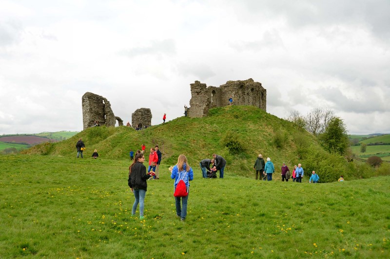 v355-1-DSC_9138 v355-1-DSC_9138