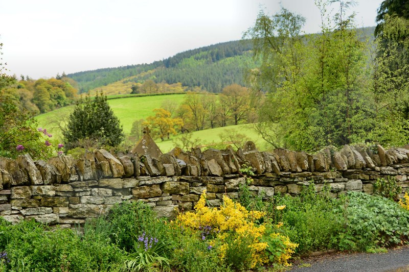 v355-1-DSC_9197 v355-1-DSC_9197