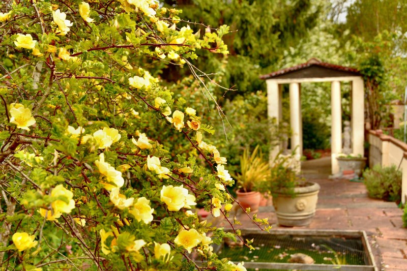 v354-1-DSC_8374