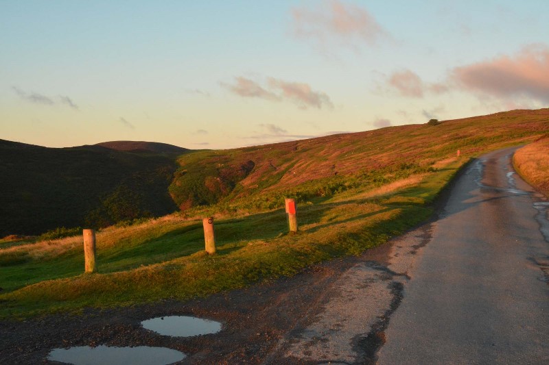 v337-3-DSC_5635 v337-3-DSC_5635