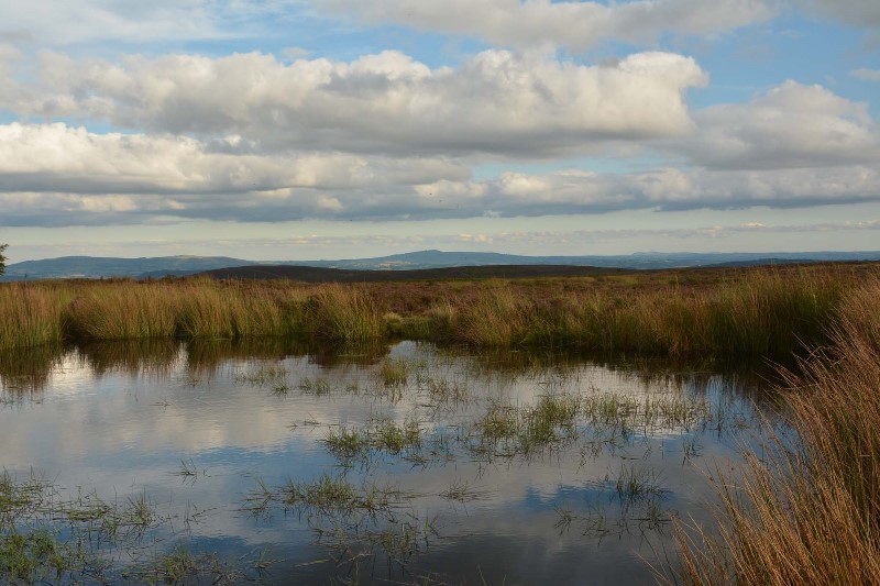 v337-5-DSC_5812 v337-5-DSC_5812