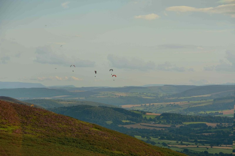 v337-5-DSC_5841 v337-5-DSC_5841