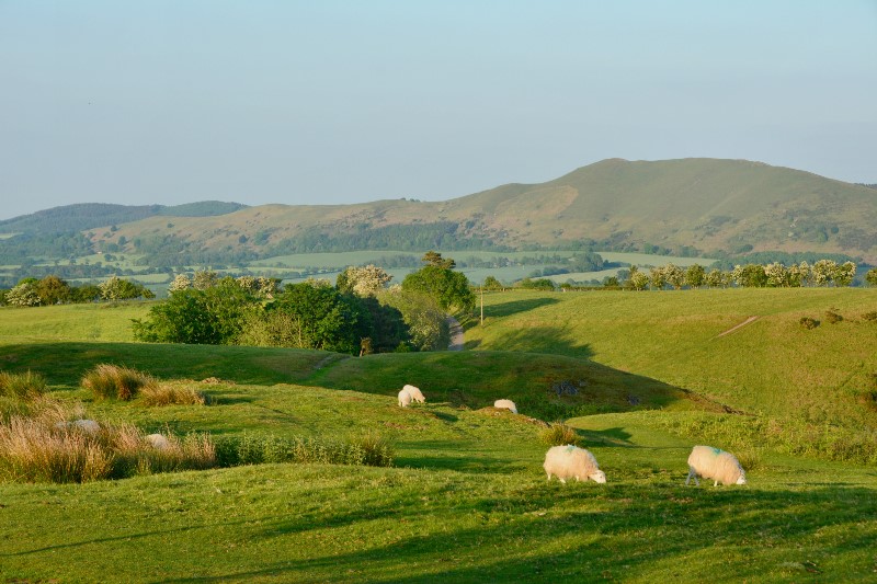 v357-1-DSC_0470 v357-1-DSC_0470