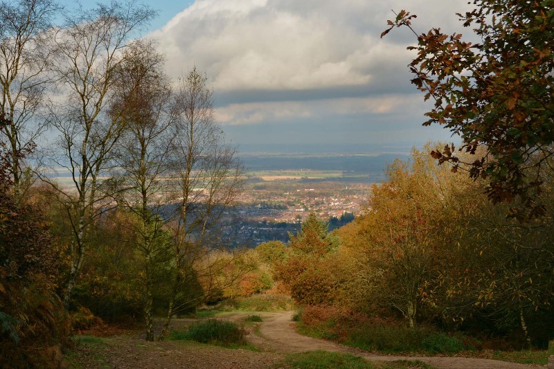v342-5-DSC_9265