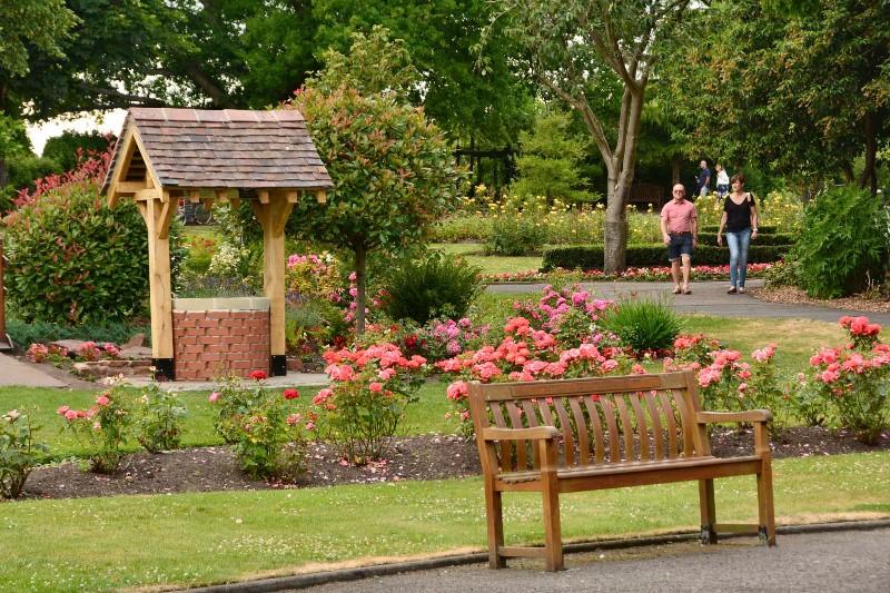 DSC_2721-1 DSC_2721-1