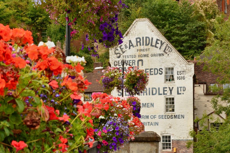 DSC_7905-2 DSC_7905-2