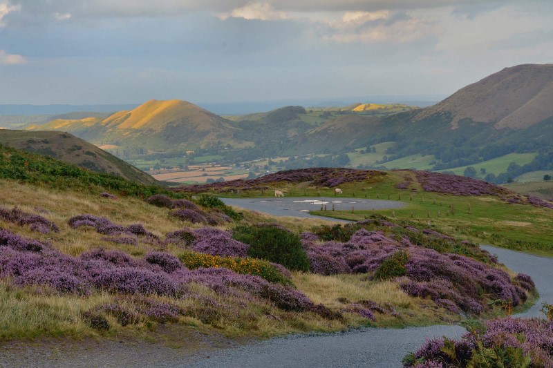 Carding Mill Valley & The Long Mynd Shropshire Tourism & Leisure Guide