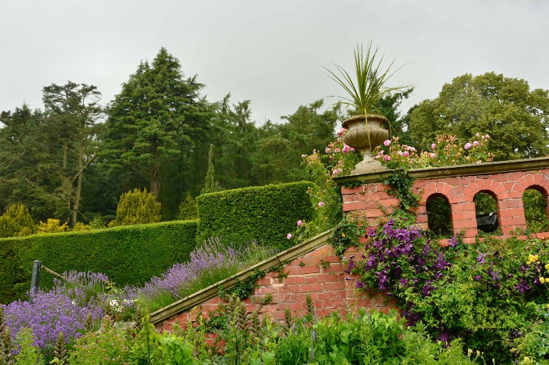 DSC_2766 DSC_2766