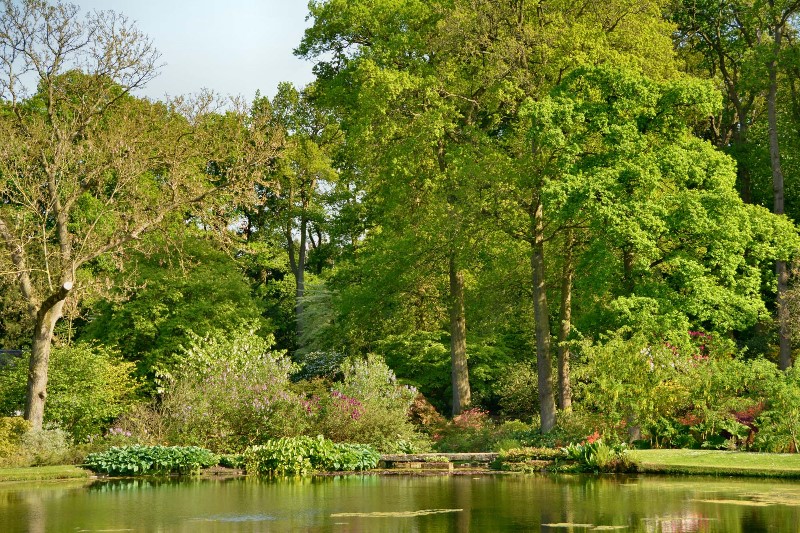 v323-1-DSC_2587 v323-1-DSC_2587