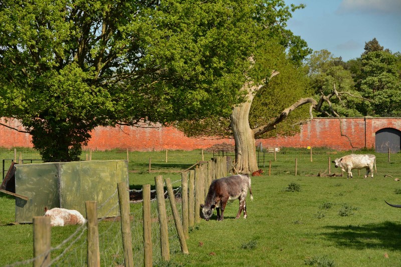 Home Farm Attingham Shropshire Tourism & Leisure Guide