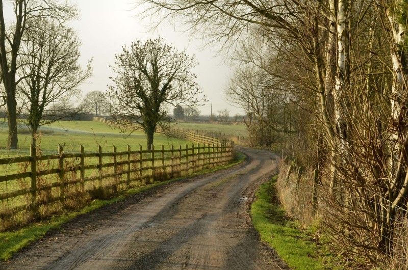 DSC_1710