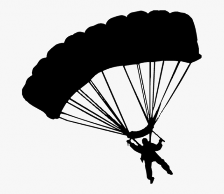 skydive 768x666
