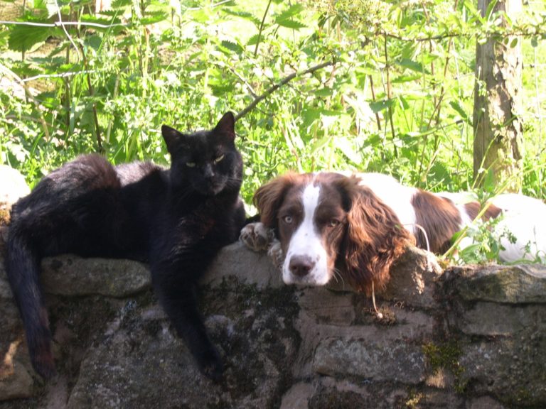 milly andsam 768x576