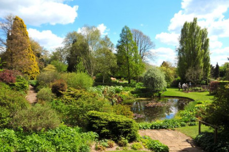 Dorothy Clive Garden Dorothy Clive Garden