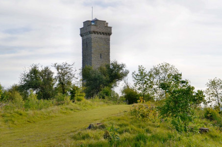 Flounders Folly Flounders Folly