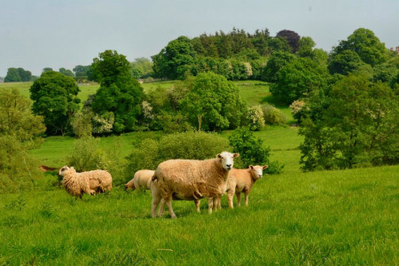 Fordhall Organic Farm Fordhall Organic Farm