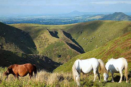 Cardingmill Valley & Long Mynd
