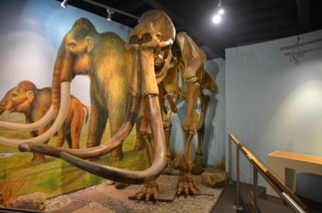 Shropshire Hills Discovery Centre Shropshire Hills Discovery Centre